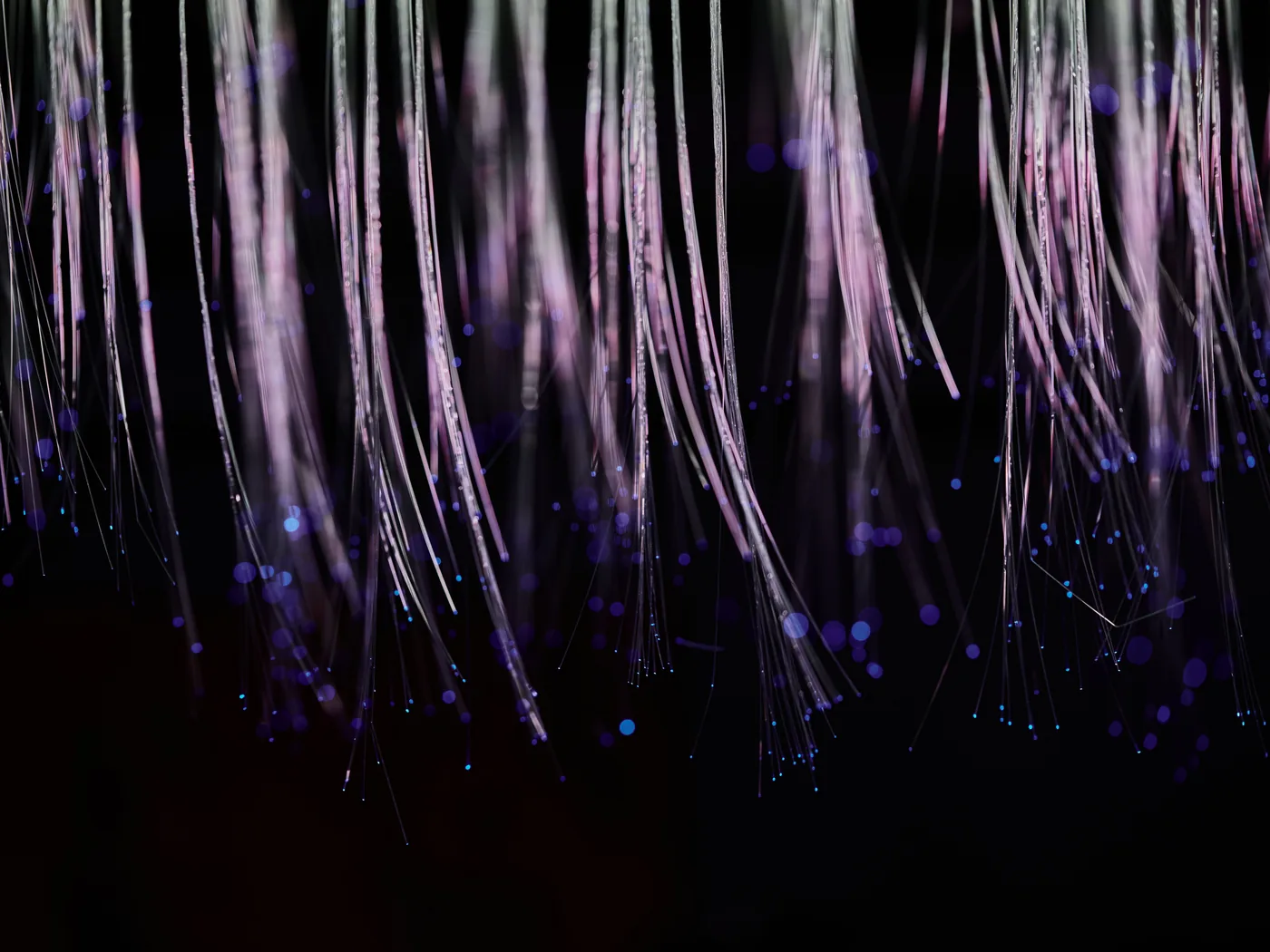 Hebras de fibra óptica en violeta cayendo sobre fondo negro y disolviéndose: tráfico digital que se dispersa sin llegar a un destino
